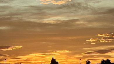 Photo of Un total de 3.832 personas fallecieron este verano por causa del calor en España