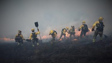 Photo of España se enfrenta a 141 riesgos climáticos que afectan a la salud, la economía y la biodiversidad