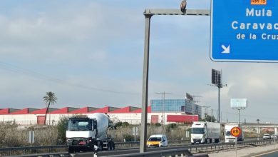 Photo of Intentan rescatar a un buitre leonado que lleva tres días en la autovía A7