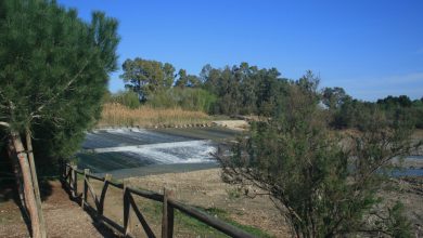 Photo of Nueva inversión para mejoras en la zona de ocio y centro de visitantes de La Contraparada
