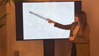 Photo of La mediana de la avenida Principal del Polígono Oeste será completamente remodelada