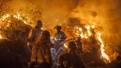 Photo of Clima extremo y vegetación lista para arder intensificaron los incendios forestales récord de 2025