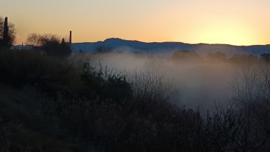 Photo of Kristin trae a Alcantarilla viento fuerte hoy y varios días lluviosos