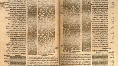 Photo of Reflexión dominical. El Reino y la llamada al seguimiento