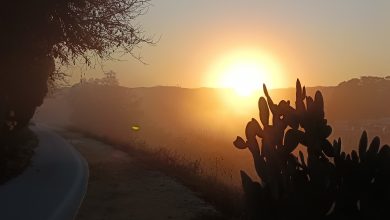 Photo of Alcantarilla recibió la visita de cinco borrascas con nombre propio durante enero