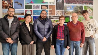 Photo of Un equipo de la UMU descubre una especie de musgo exclusiva de la Región de Murcia