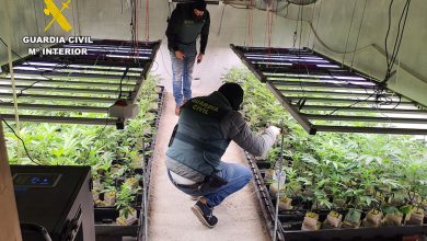 Photo of Desmantelan un cultivo de marihuana en un zulo subterráneo de una casa en Sangonera la Seca