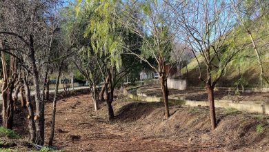 Photo of Comienzan las obras de la senda verde en el Riacho de la Morda, en el límite con Alcantarilla