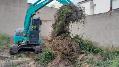 Photo of El Ayuntamiento da de plazo hasta el 1 de mayo a los propietarios de solares para que los limpien