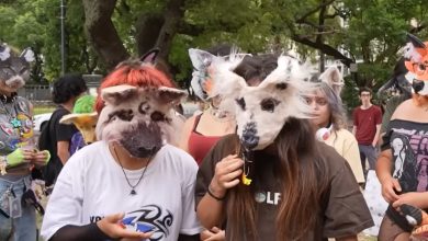 Photo of Los animalistas se desmarcan de la moda ‘therian’