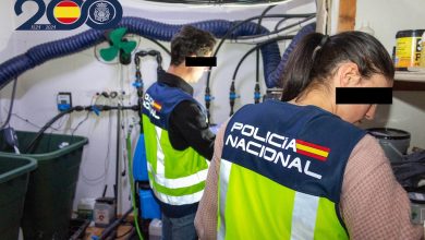 Photo of Seis detenidos al desmantelar dos plantaciones de marihuana en viviendas de Alcantarilla