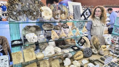 Photo of La Feria de Minerales y Fósiles de La Unión recibe a miles de coleccionistas y aficionados