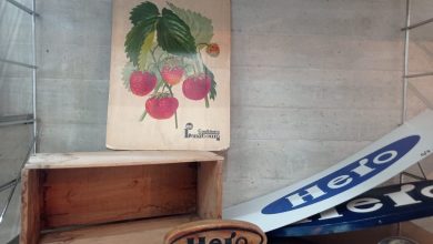 Photo of Antiguos objetos de la fábrica Hero aumentan los fondos del futuro Museo de la Conserva