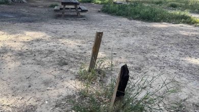 Photo of El PSOE denuncia el estado de abandono del paraje del Agua Salá