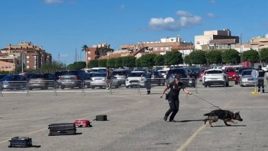 Photo of Seiscientos alumnos contemplan en acción a la unidad canina de la Policía y sus drones