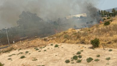 Photo of Incendio de matorral junto al paraje del Agua Salá