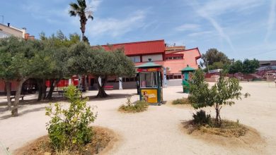 Photo of Islas de biodiversidad: el patio del colegio como aula de ciencias naturales