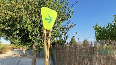 Photo of Abre al público la ruta de la Aljufía, que recorre 14 kilómetros de huerta de Murcia a la Contraparada